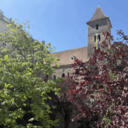 Stadterkundung im Ruprechtsviertel: vom Salzhandel zum Judenviertel